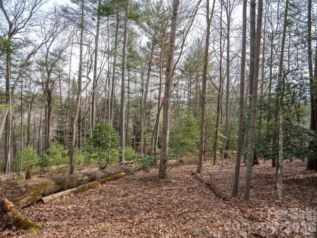 9999 Cedar Hill Drive 12, Asheville, NC 28803