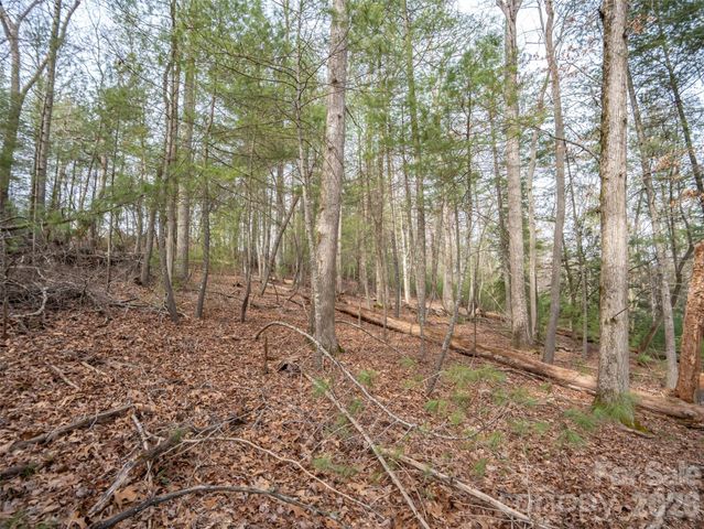 9999 Cedar Hill Drive 12, Asheville, NC 28803