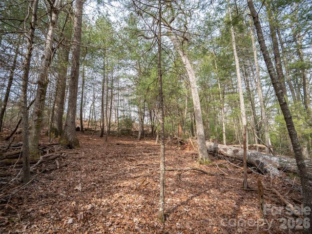 9999 Cedar Hill Drive 12, Asheville, NC 28803