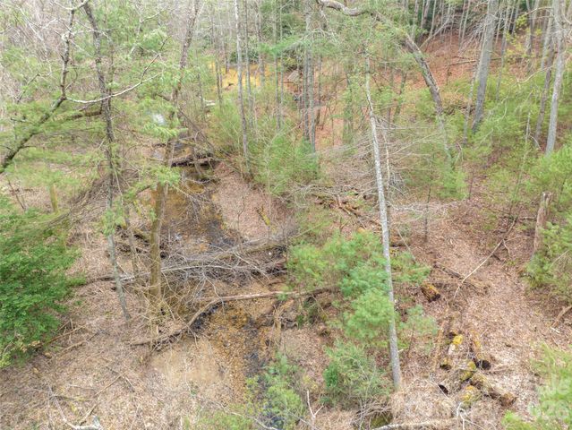 9999 Cedar Hill Drive 12, Asheville, NC 28803