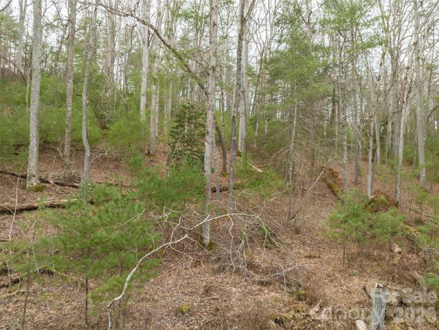 9999 Cedar Hill Drive 12, Asheville, NC 28803