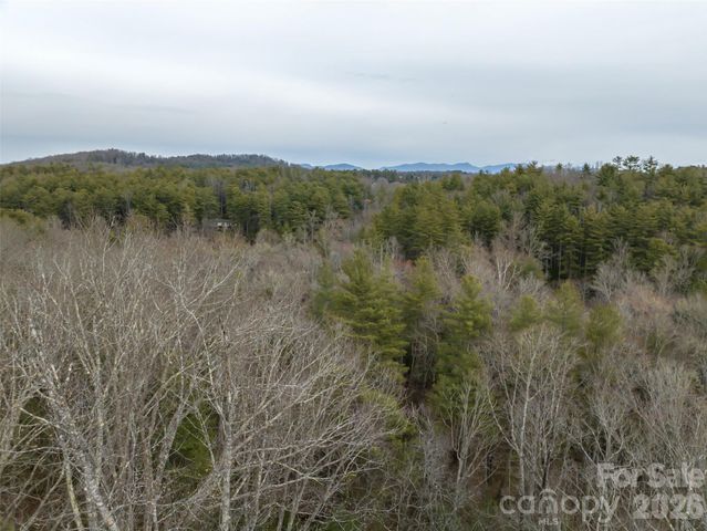 9999 Cedar Hill Drive 12, Asheville, NC 28803