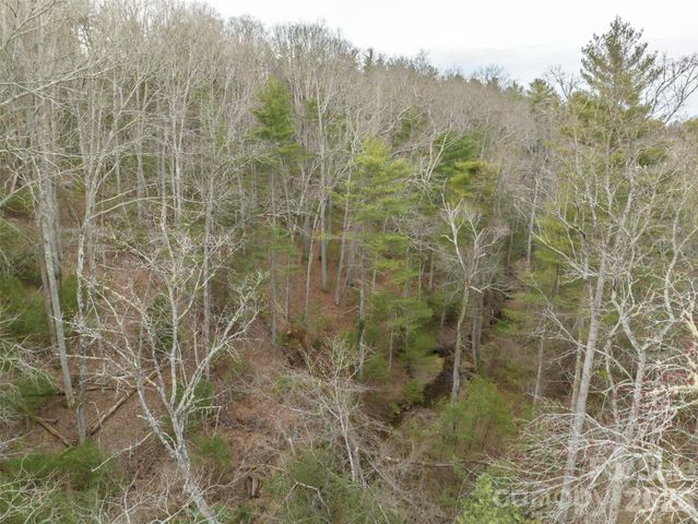 9999 Cedar Hill Drive 12, Asheville, NC 28803