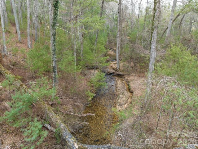 9999 Cedar Hill Drive 12, Asheville, NC 28803