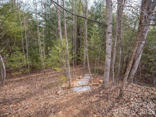 9999 Cedar Hill Drive 12, Asheville, NC 28803