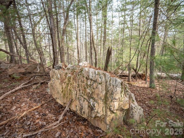 9999 Cedar Hill Drive 12, Asheville, NC 28803