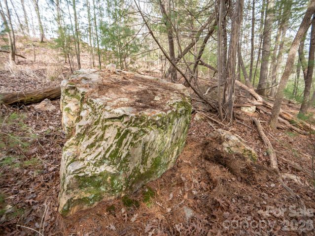 9999 Cedar Hill Drive 12, Asheville, NC 28803