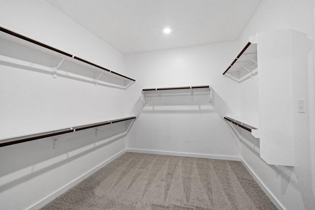 328 Royal Fern RD, Hutto, TX 78634