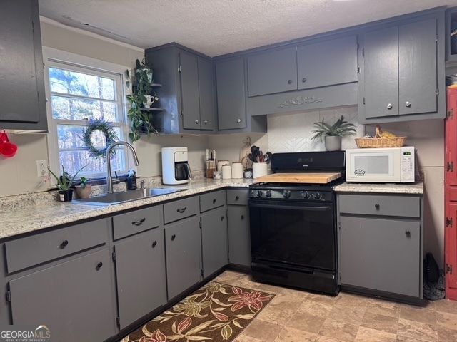 1335 Meadows Boone Road, Luthersville, GA 30251