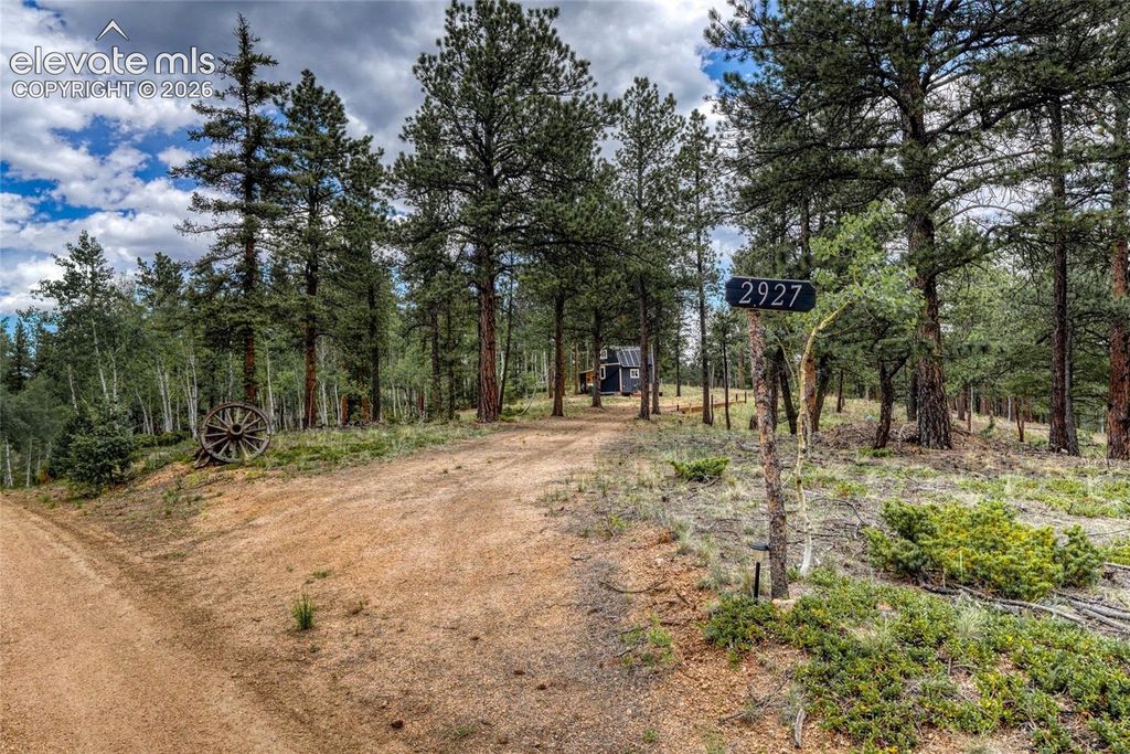 2927 Pathfinder Road, Florissant, CO 80816 — photo 2