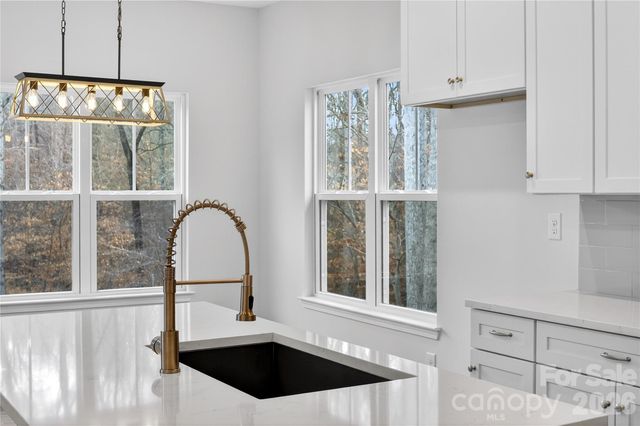 229 Shenandoah Loop, Troutman, NC 28166