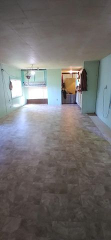 10041 S Mason Drive, Grant, MI 49327