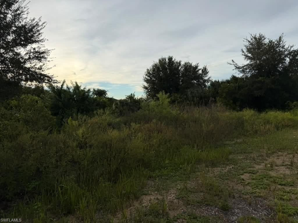 301/303 Ichabod AVE, LEHIGH ACRES, FL 33973 — photo 2