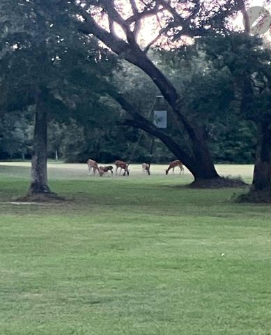 406 Wilson Creek Road, Palacios, TX 77440