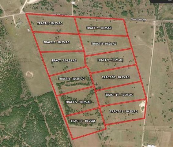 1115 Tract 4 - County Road 204, Burnet, TX 78611