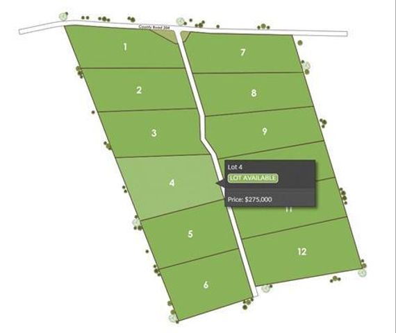 1115 Tract 4 - County Road 204, Burnet, TX 78611