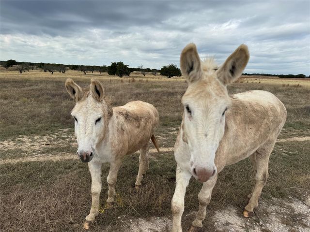 1115 Tract 4 - County Road 204, Burnet, TX 78611