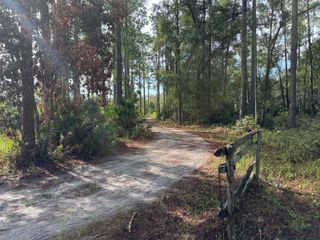 WILD ACRES TRAIL, Paisley, FL 32767