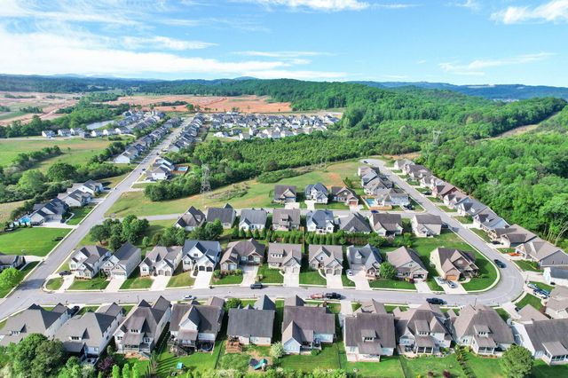 1736 Gable Green Drive 36, Apison, TN 37302