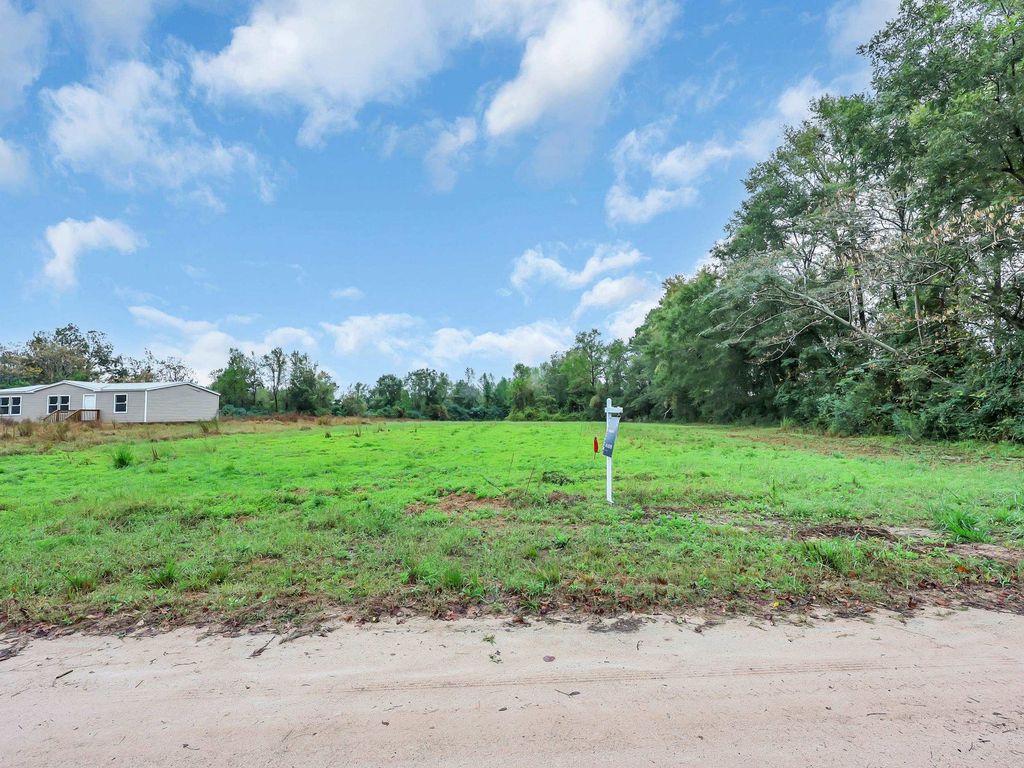 TBD Willow Grove Dr., Loris, SC 29569 — photo 4