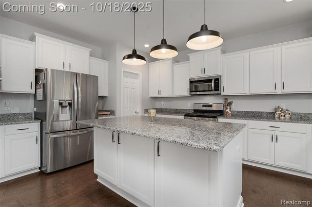 20330 Rambling Drive, Clinton Township, MI 48038