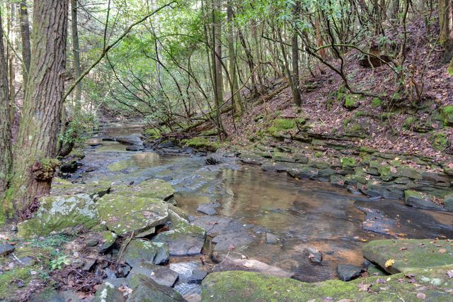 0 Woodly Branch Rd, Monteagle, TN 37356