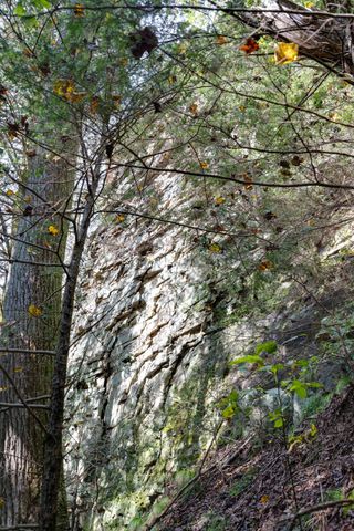 0 Woodly Branch Rd, Monteagle, TN 37356