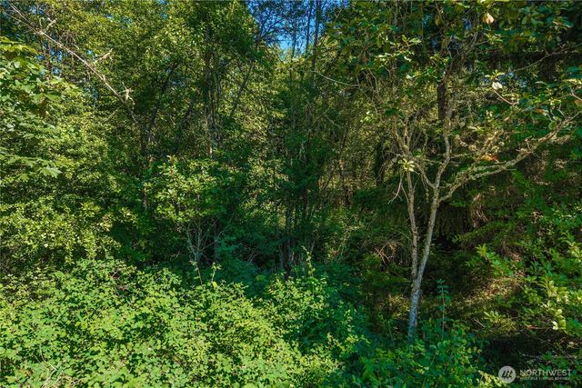 11601 212th Street E, Graham, WA 98338