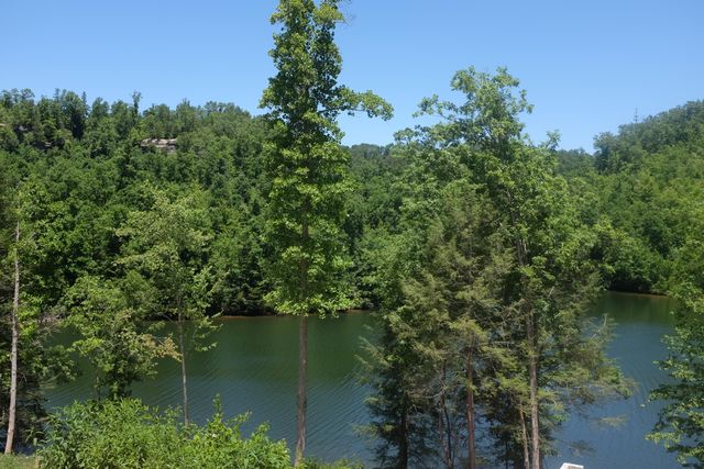 Lot 7 Sleepy Hollow Road, East Bernstadt, KY 40729