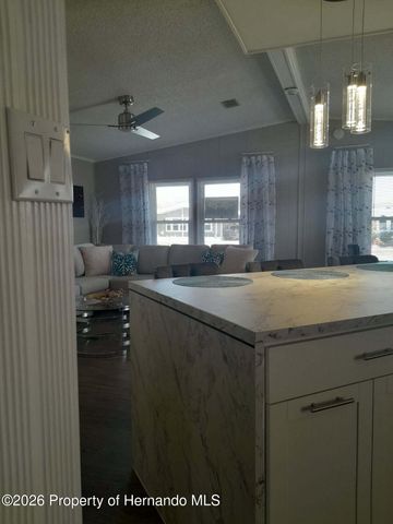 9259 Salvini Drive, Brooksville, FL 34613