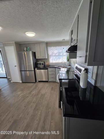 9259 Salvini Drive, Brooksville, FL 34613