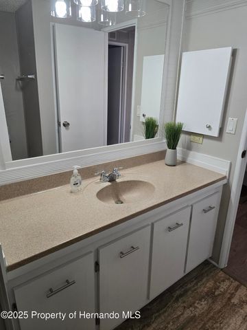 9259 Salvini Drive, Brooksville, FL 34613