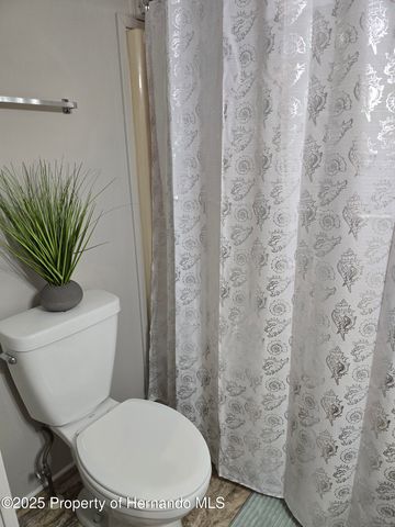 9259 Salvini Drive, Brooksville, FL 34613