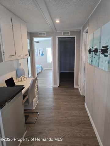 9259 Salvini Drive, Brooksville, FL 34613