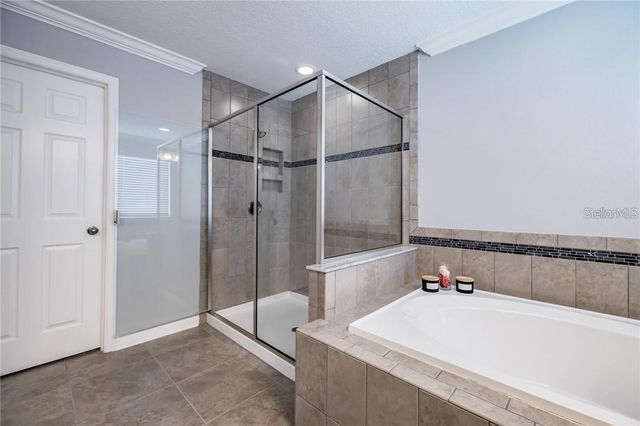 11301 ALACHUA CREEK LANE, Riverview, FL 33579