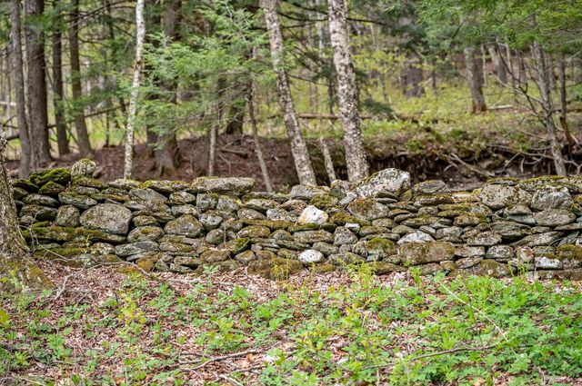 3955 VT Route 100, Warren, VT 05674