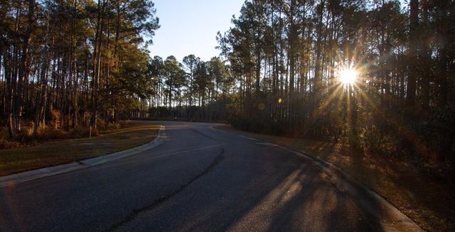 1449 Jeremy Cay Court, Awendaw, SC 29429
