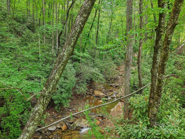 685 Freeman Creek Road, Zirconia, NC 28790