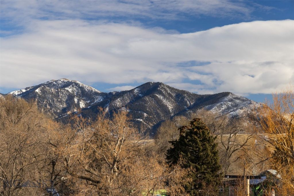 201 & 201 1/2 N Black Avenue, Bozeman, MT 59715 photo 45