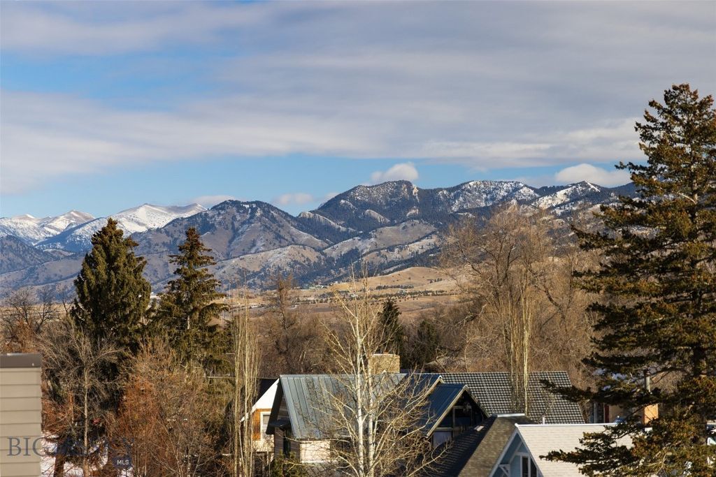 201 & 201 1/2 N Black Avenue, Bozeman, MT 59715 photo 46