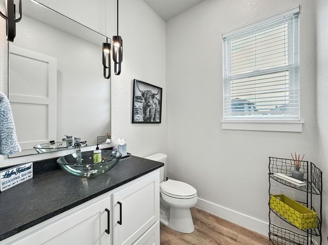 3007 Shoreside Point, Graford, TX 76449