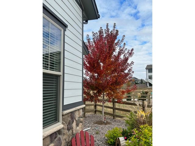 389 Bronco Ct, Berthoud, CO 80513