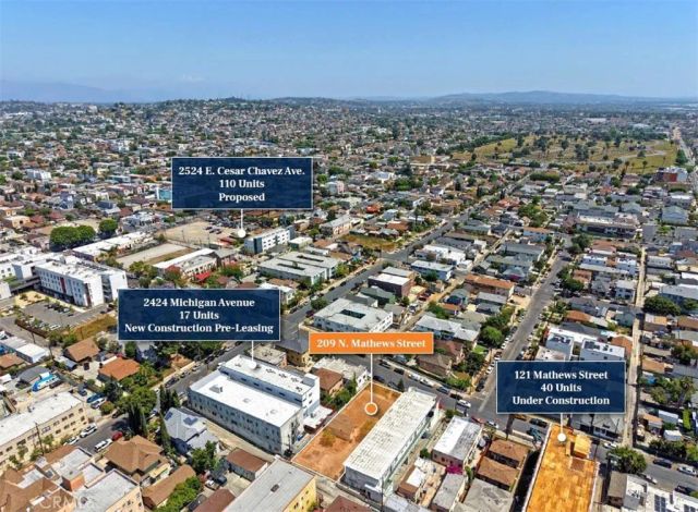 209 N Mathews, Los Angeles, CA 90033
