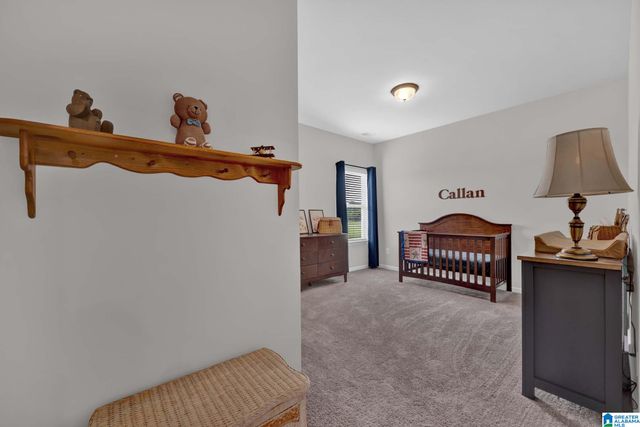 547 BRIDLEWOOD CIRCLE, Morris, AL 35116