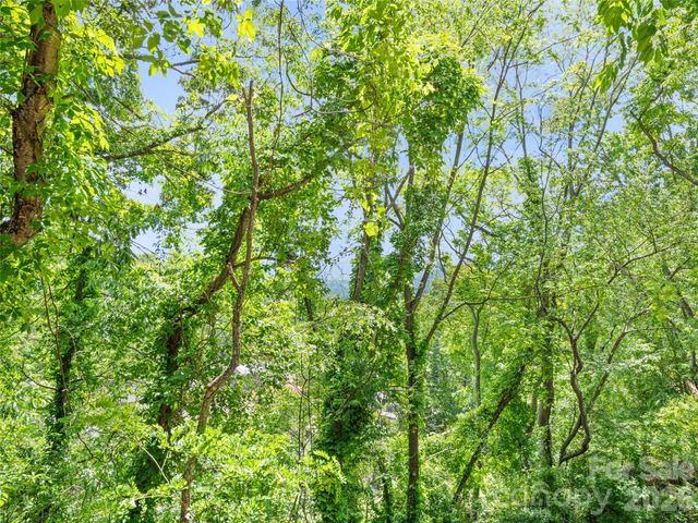 157 Highland Terrace, Clyde, NC 28721