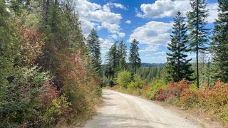 11618 E Dusty Ln, Chattaroy, WA 99003