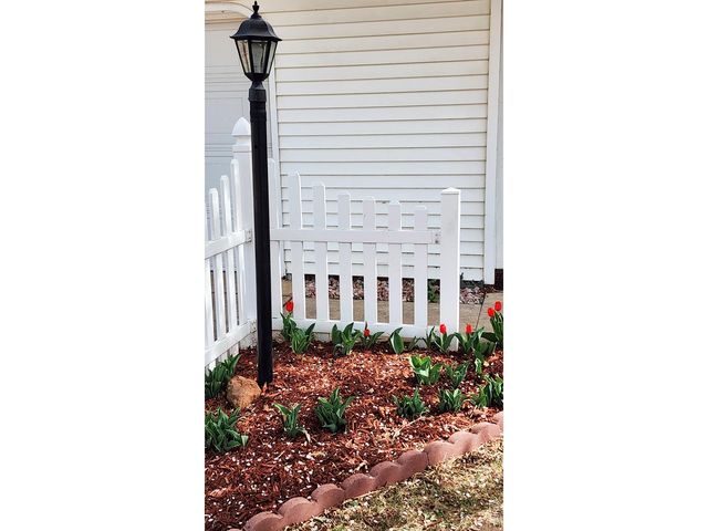 1304 Elm Ave, Loveland, CO 80537