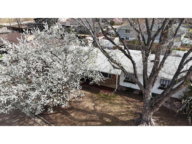 1304 Elm Ave, Loveland, CO 80537