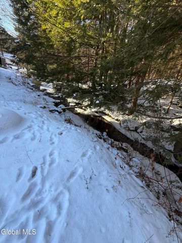 79 Michigan Lane, Fort Ann, NY 12827