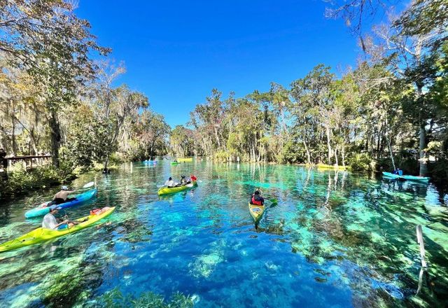 807 N HOLLYWOOD CIRCLE, Crystal River, FL 34429